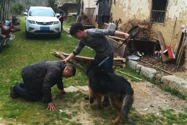 郭晶晶面相驚人(2;15;0;0)